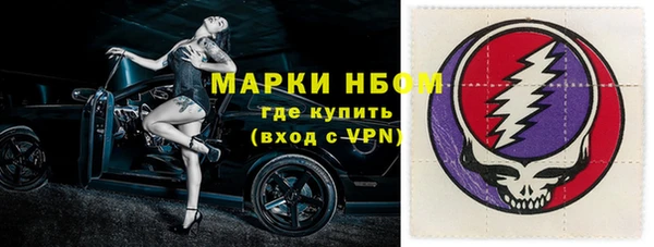 хмурый Алексин