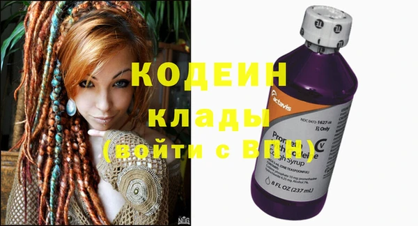 хмурый Алексин