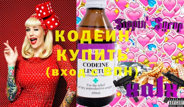 хмурый Алексин